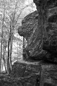 an Vorneck, Marienstatt