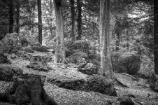 Botterweck bei Rennerod