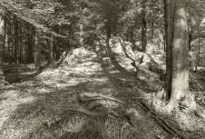 Großer Stein bei Rennerod